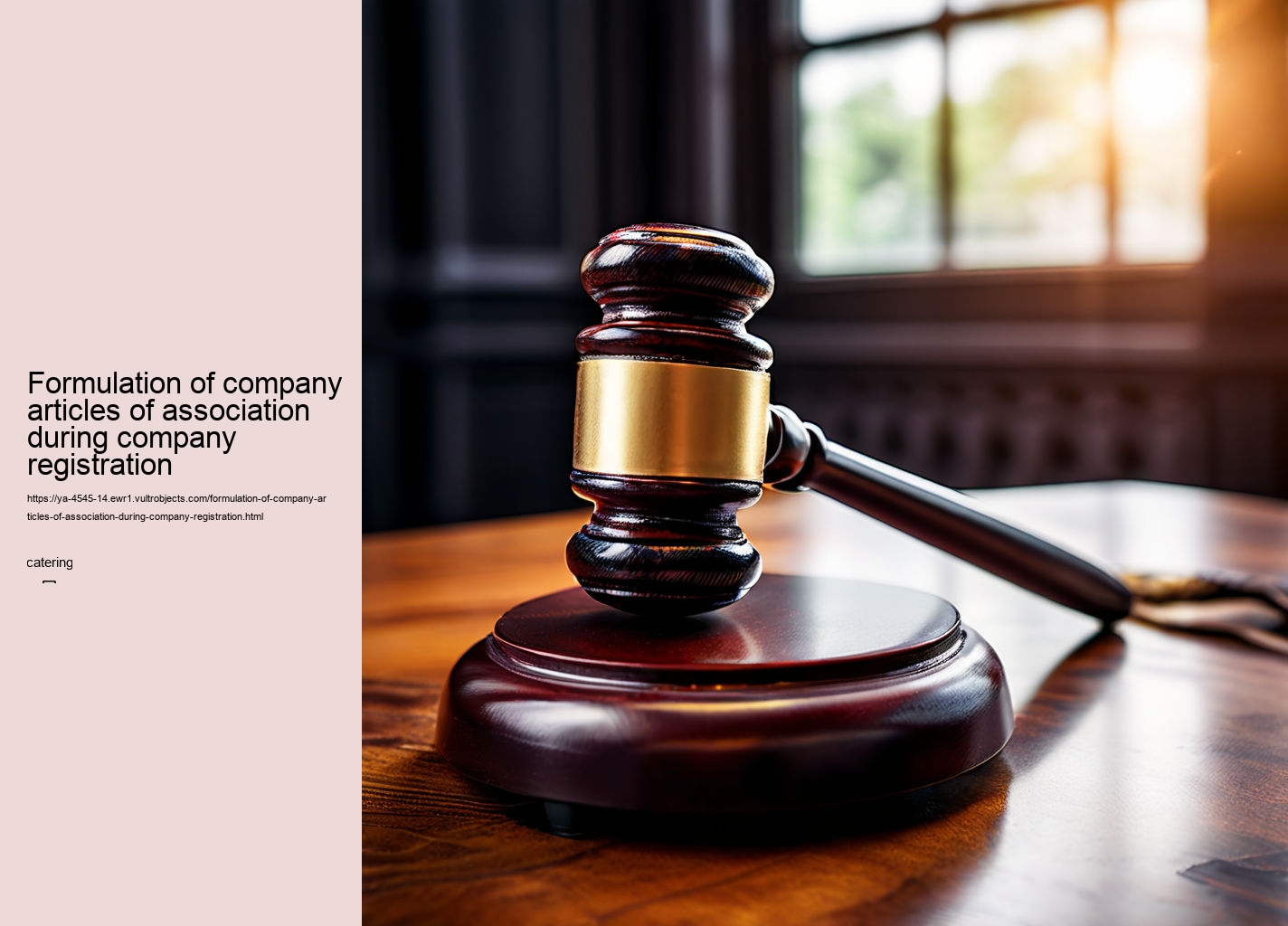 Formulation of company articles of association during company registration